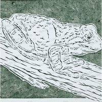 Frog Cut Paper Art, Matted