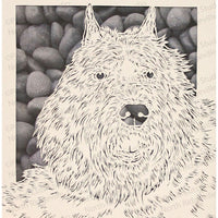 Bouvier des Flandres Cut Paper Art, Matted