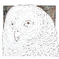 Owl Cut Paper Art, Matted