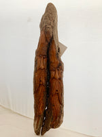 Multi-Woodspirit, Carved Bark Wall Piece